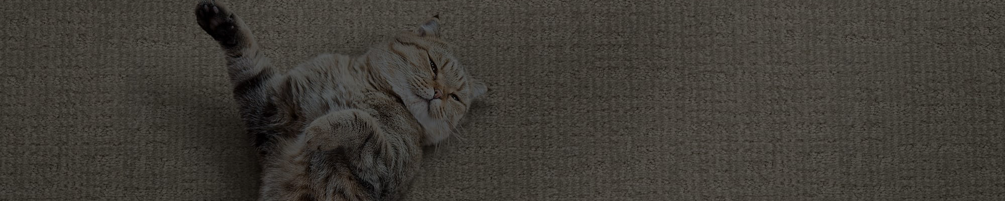 Dixie Home Carpet Banner
