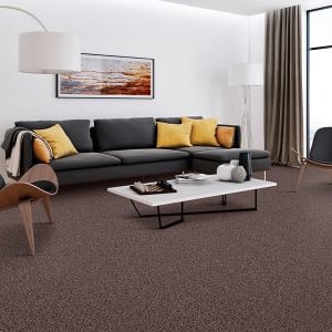 Carpet products from P.C. Curry Floor Covering, Inc. in Phoenixville, PA